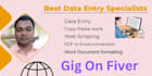 provide data entry, word document formatting, copy paste, web scraping