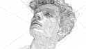 line drawing and vector line art illustration