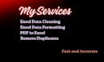 fix, clean and organize excel data and convert PDF files