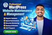 do wordpress website maintenance,website bug fix, wordpress website management