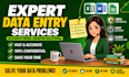 do accurate data entry, excel formatting and clean messy data fast