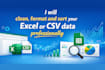 clean, format and sort your excel or CSV data professionally