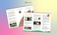 design a poster, brochure or flyer for education or ads