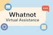 be a professional whatnot virtual assistant