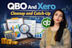 qbo and xero cleanup and catchup