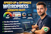 speed up and optimize your wordpress website professionally