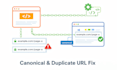 fix canonical tag issues and duplicate URL problems