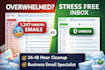professionally clean and organize your email inbox