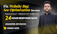 fix any website bug, optimization, automation, seo ranking