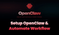 installed and setup openclaw professionally
