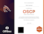 conduct expert penetration test of your web and mobile apps