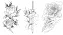 make a tattoo design with clear lineart