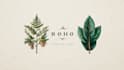 create beautiful hand drawn botanical boho logo