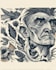 create handcrafted linocut style illustrations with bold