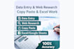 accurate data entry, web research, copy paste and excel work
