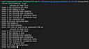 write and debug python scripts
