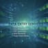 do data entry and data management services