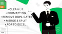 professionally clean and organize large excel datasets
