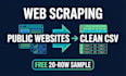 do custom web scraping and data extraction with python