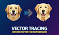 manually vectorize your logo or image with high precision
