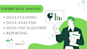 clean, analyze, and visualize your data