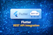 fix and integrate apis in flutter mobile apps