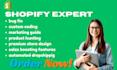 do shopify dropshipping website design and redesign for your online store