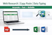 do web search, copy paste, data entry, data typing
