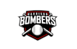 design professional baseball team logo