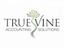 design high quality finance, accounting logo