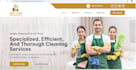 built or customize wordpress website using javascript