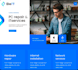 develop it service website design