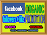 grow facebook followers fast high quality service