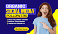 do increase social media followers