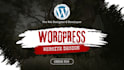 design a professional wordpress website with drag and drop builder