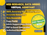 be your virtual assistant, internet researcher