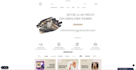 build a modern, fast and responsive website