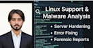 provide linux server support and malware analysis