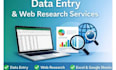 do accurate data entry and web research in excel