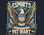 make high quality mascot t shirt eagle veteran logo