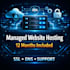 provide managed website hosting with SSL and domain setup