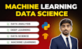 do data science, machine learning, artificial intelligence