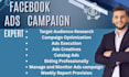 be setup facebook ads campaign expert for quality