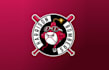design professional baseball team logo