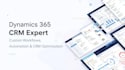 customize dynamics 365 CRM, power automate, powerapps