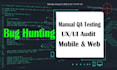 do professional manual website testing and bug hunting
