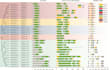 provide services involving in silico genome scale analysis