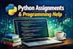 solve python programming assignments and tasks