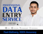 do professional data entry, copy paste and web research