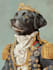 draw custom pet portrait